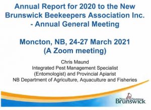 2020 Annual NBBA Report