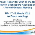 Annual Report 2021 - NBBA AGM